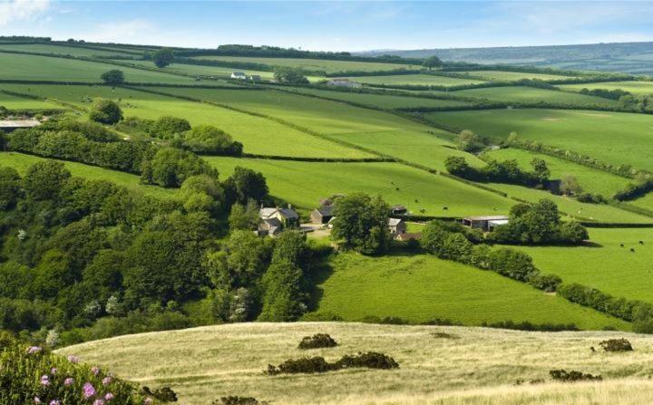 Zeal Farm Dulverton Exterior foto