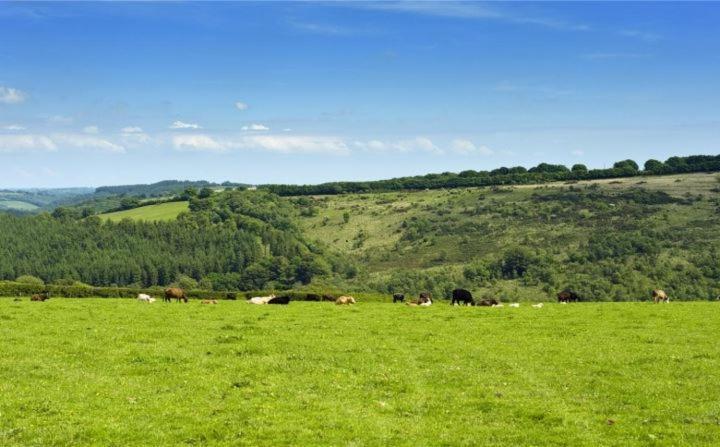 Zeal Farm Dulverton Exterior foto