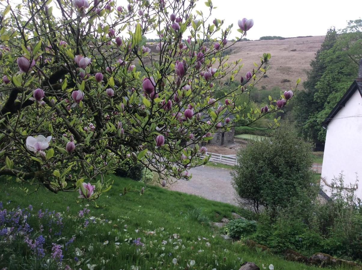 Zeal Farm Dulverton Exterior foto